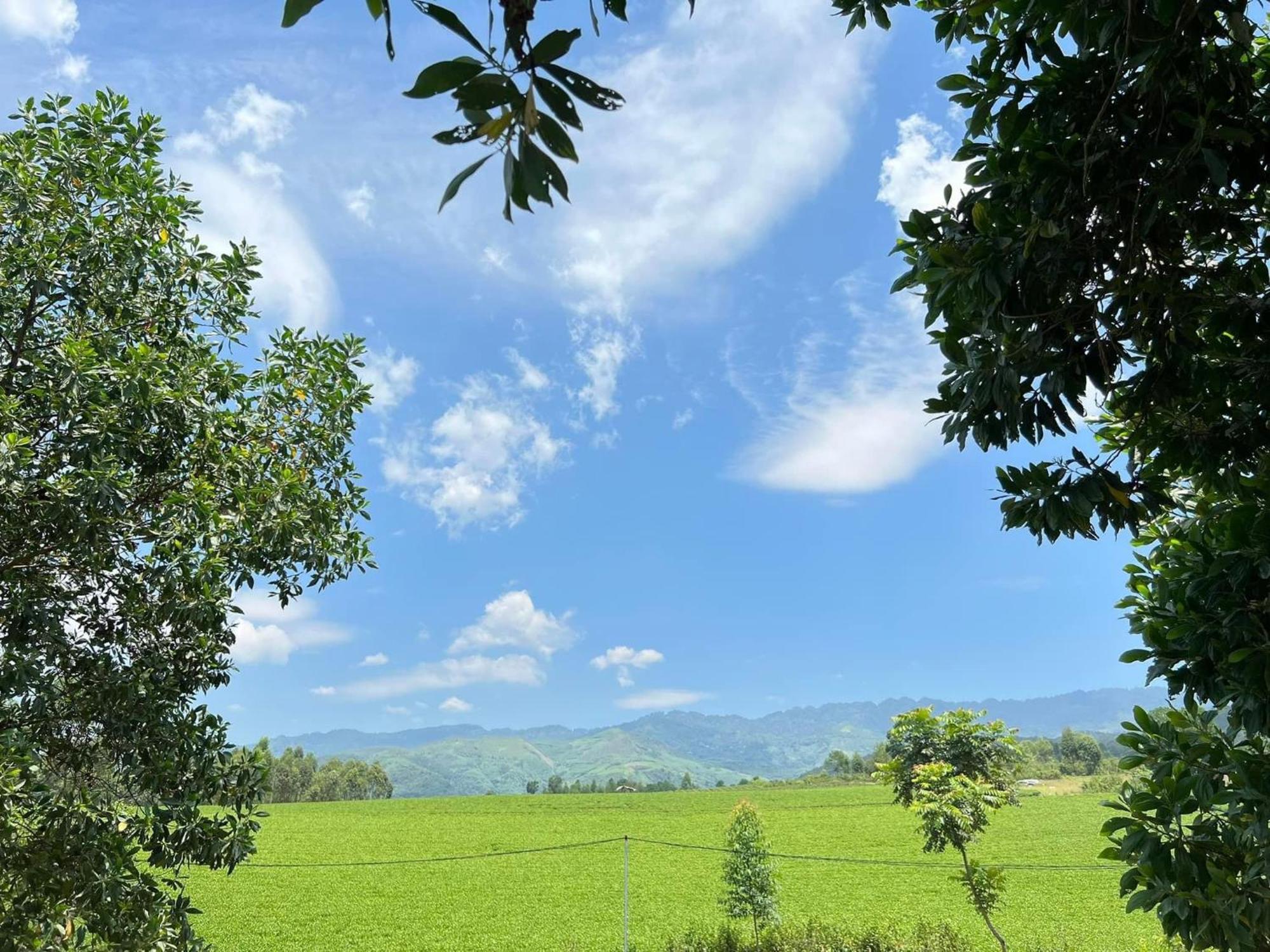 Happy Homestay Nghia Lo Bagian luar foto