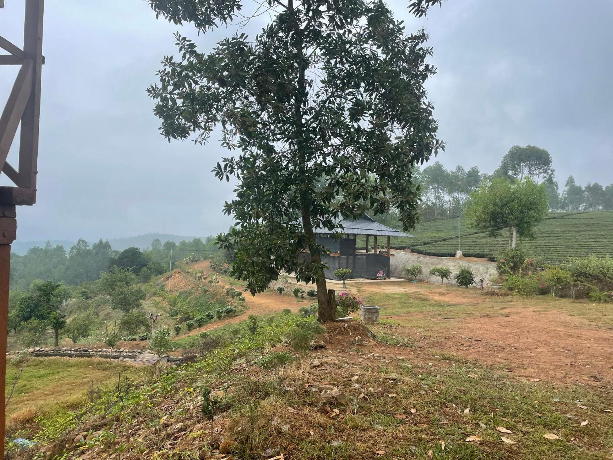 Happy Homestay Nghia Lo Bagian luar foto